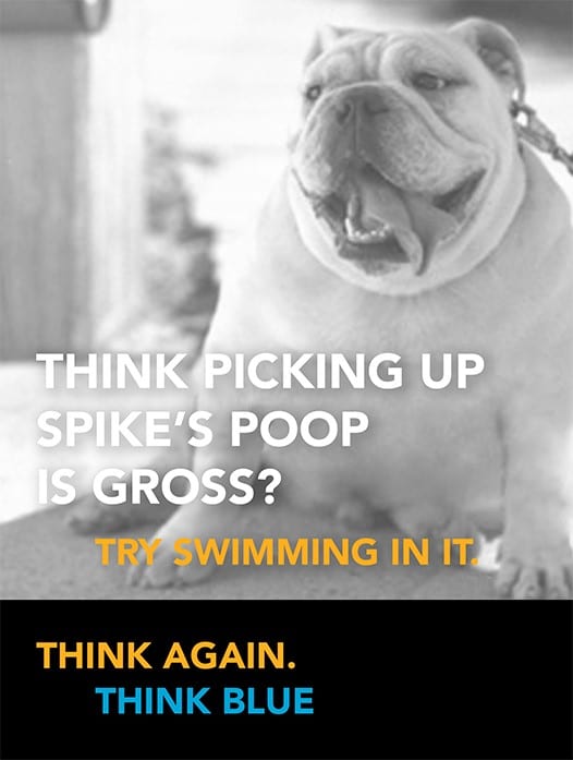 thinkblue-dog-ad